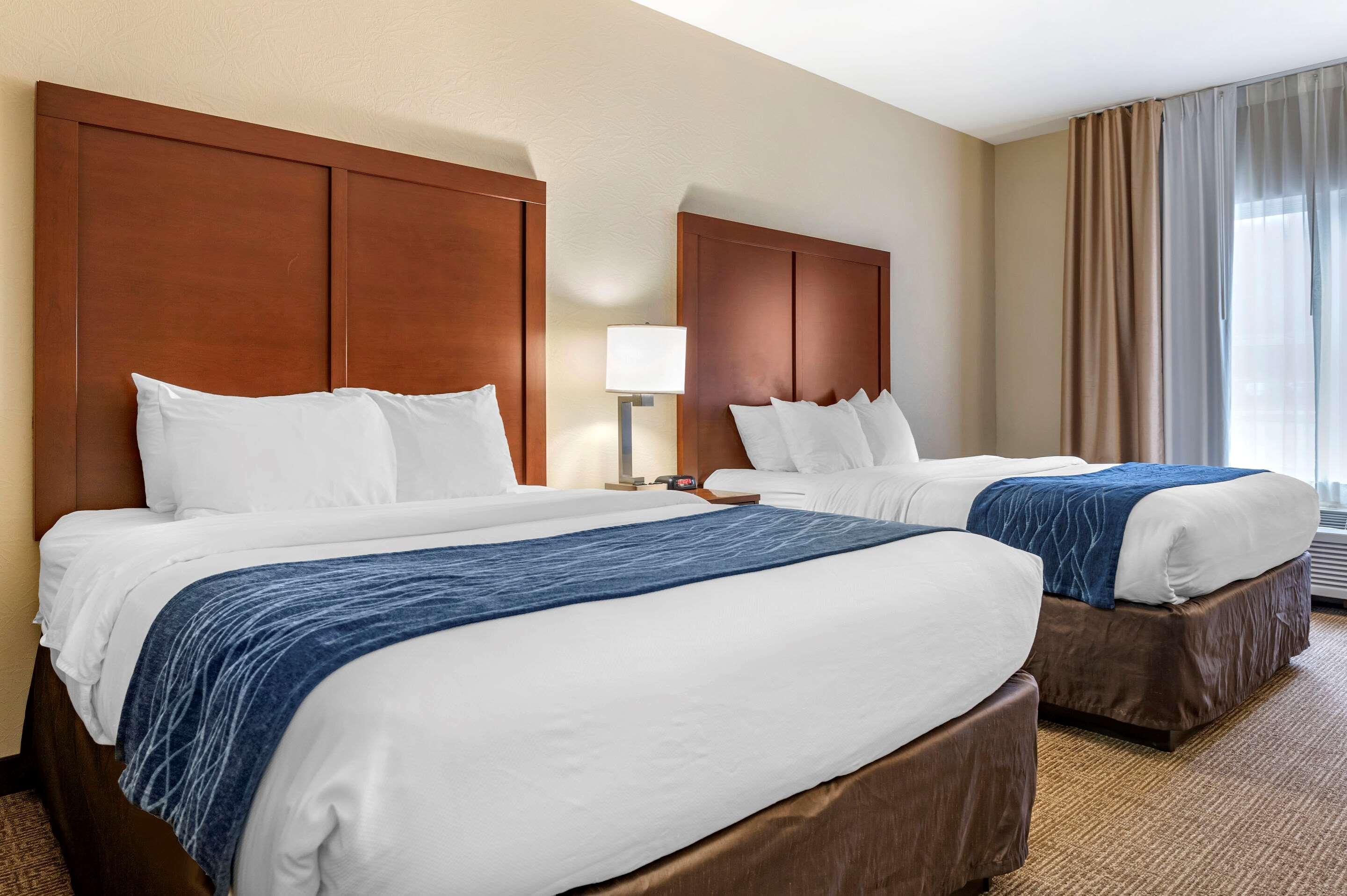 Comfort Inn & Suites Northern Kentucky Wilder Zewnętrze zdjęcie